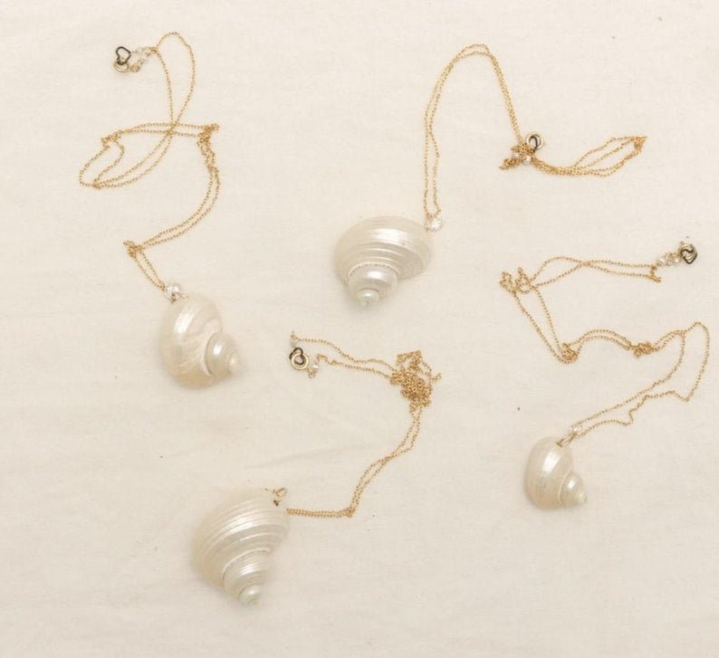 Natural Shell Necklace